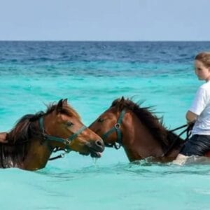 Beach Horseback Adventure: Ride and Swim with Majestic Horses