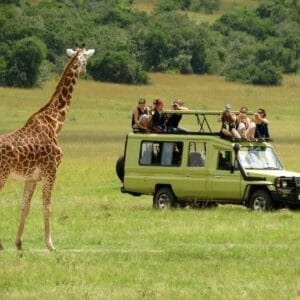 Tanzania Lodge Safari Deals.