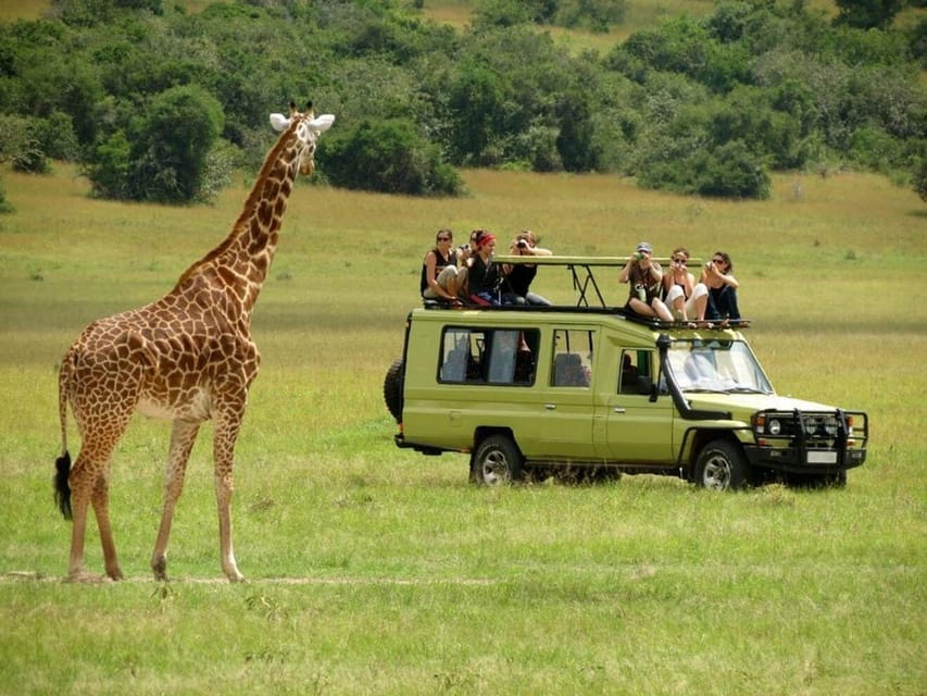 Tanzania Lodge Safari Deals.