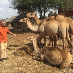 Arusha's Diverse Attractions: Snakes, Camels, Crafts, and Culture