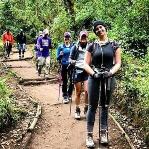 Kilimanjaro Day Hike Adventure in Moshi