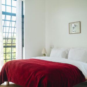 Two-Bedroom Apartment with Mountain View